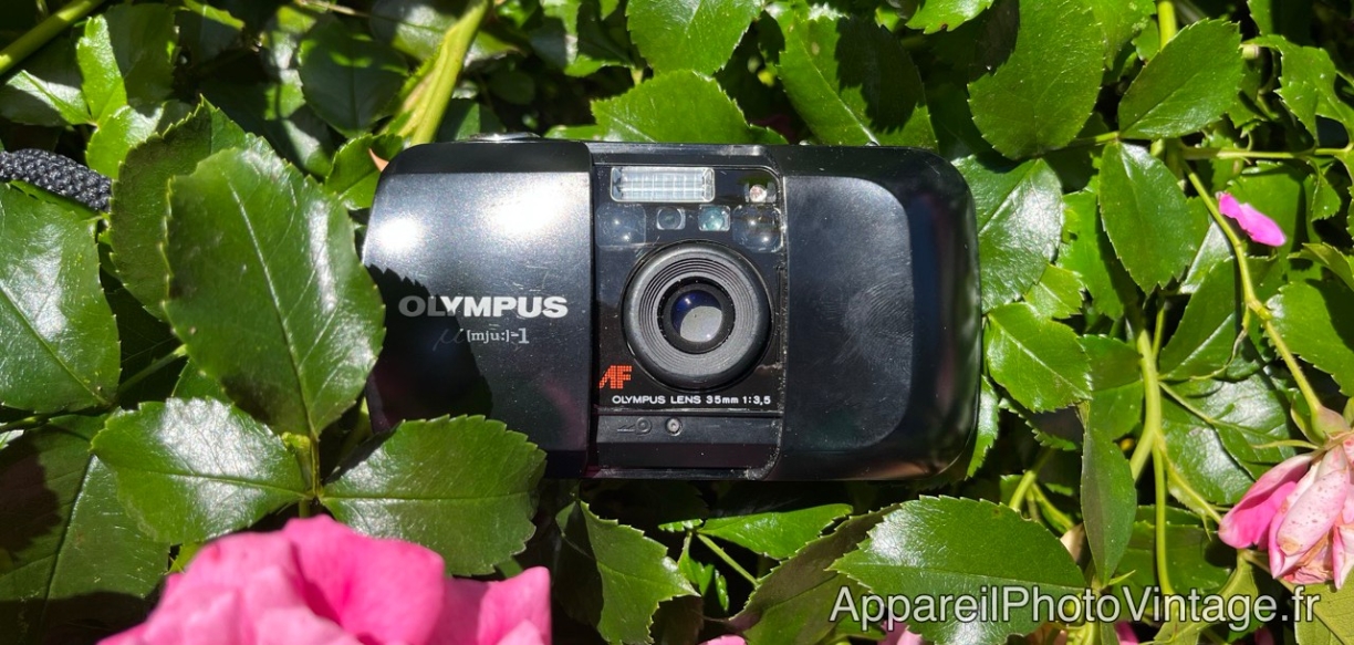 compact argentique olympus mju 1